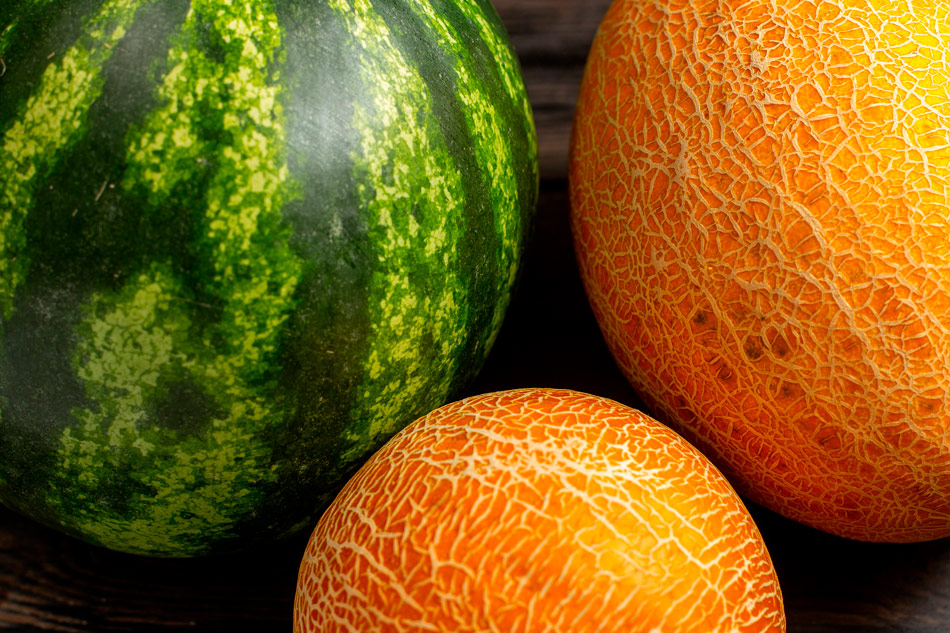 Prestagri-Sud-Services-Taille-Vignes-Travaux-Agricoles-Ramassage-Asperges-Vendanges-Manuelles-Maraichers-Primeurs-Olivier-Abricots-Melon-Myrtilles-34-30-84-15